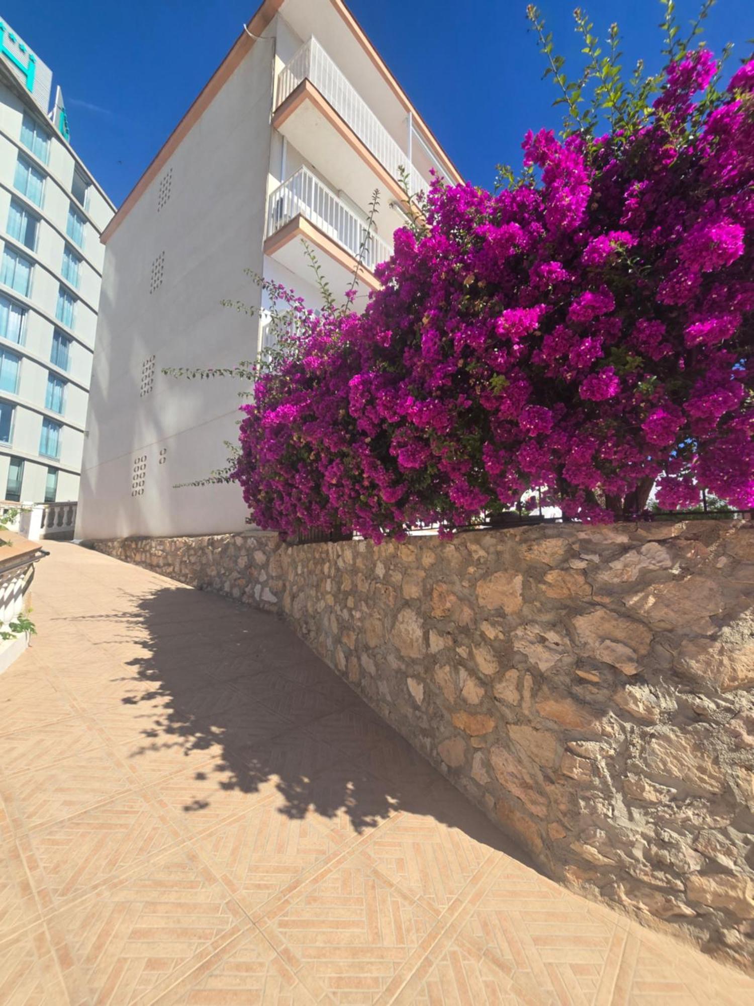 La Cantera Appartement Playa Peníscola Exterior foto